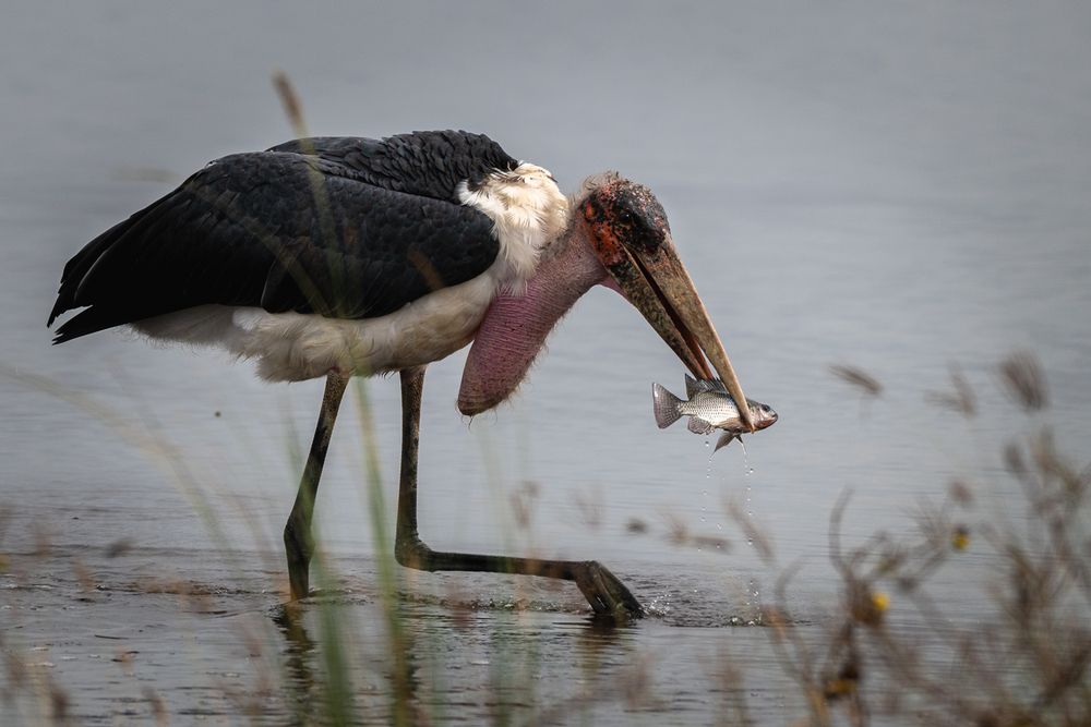 Photograph by Nikolay Slutskiy