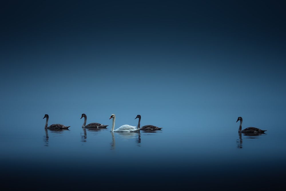 Photograph by Borislav Kostov