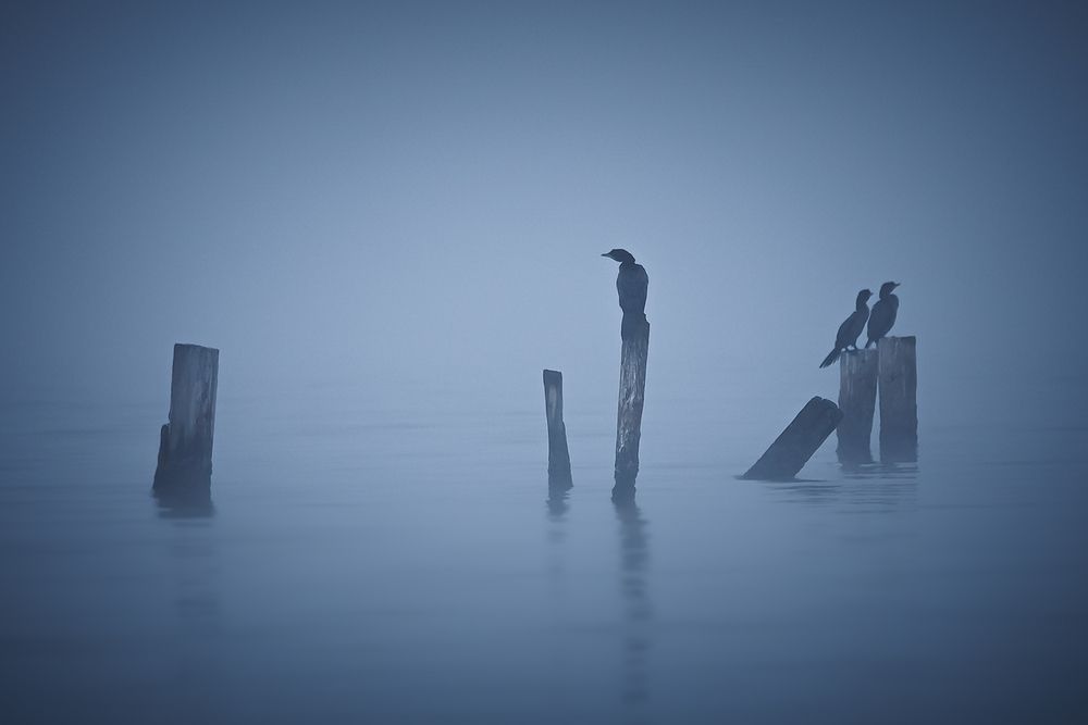 Photograph by Borislav Kostov