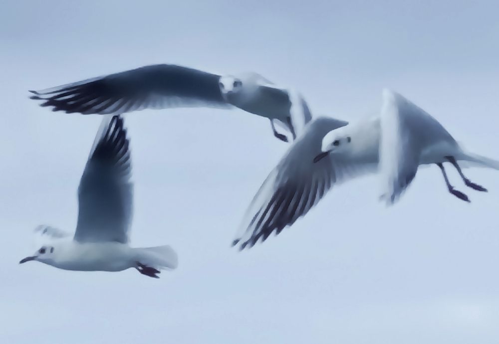 Photograph by Lidija Jevremovic