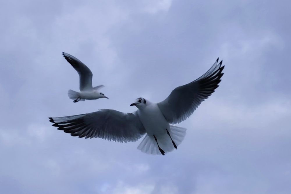 Photograph by Lidija Jevremovic