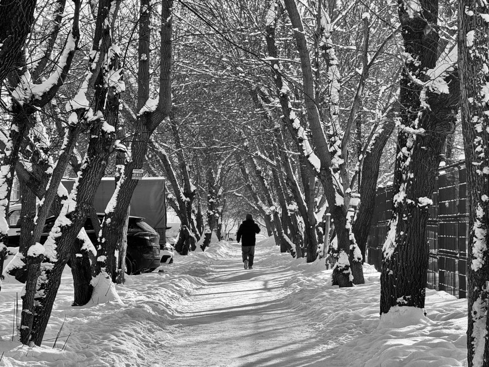 Photograph by Анна Потапова