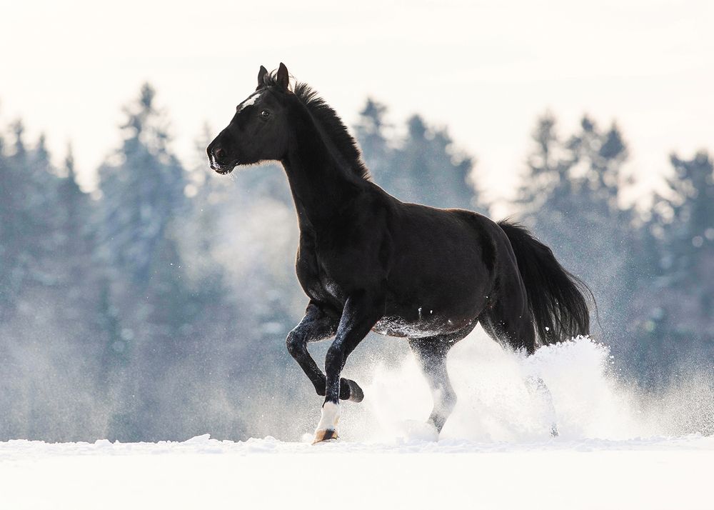 Photograph by Helena