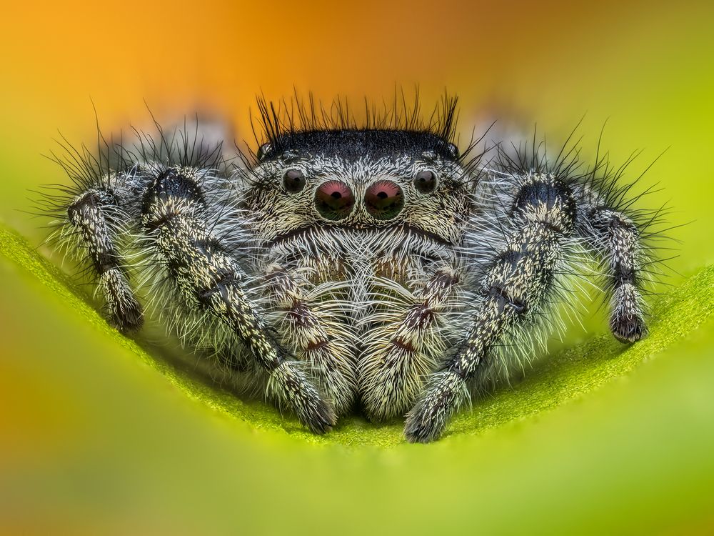 Фотография автора Ireneusz Irass Walędzik
