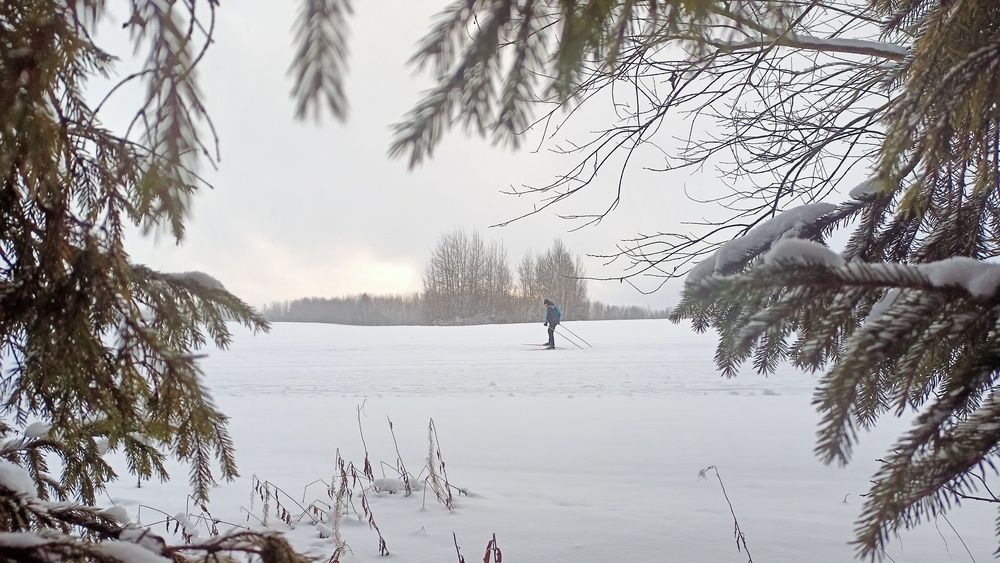 Фотография автора Валерий Верещако