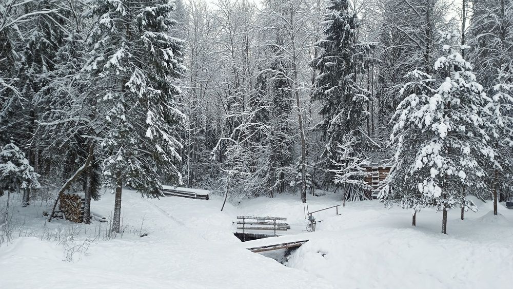 Фотография автора Валерий Верещако