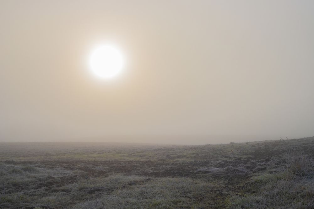 Photograph by Алексей Егоров