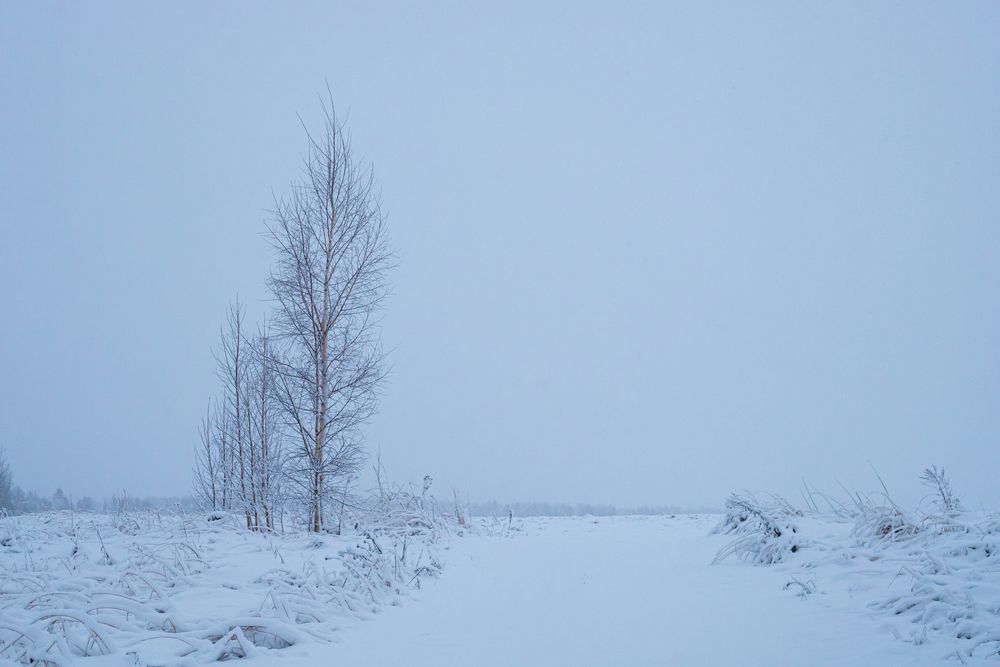 Photograph by Алексей Егоров