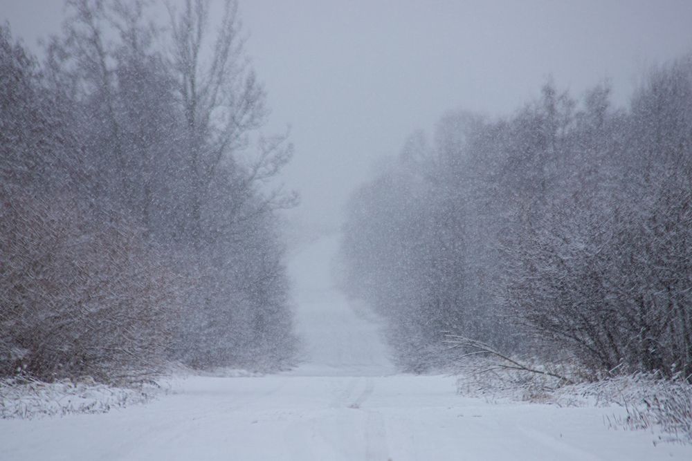 Photograph by Алексей Егоров