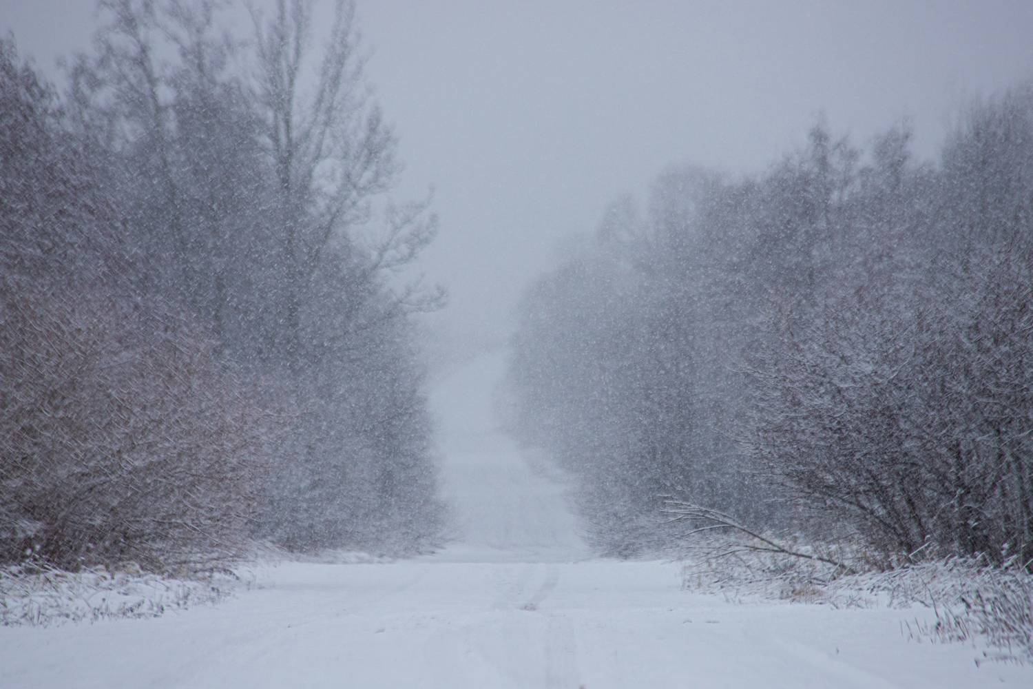 Photo #13117799
