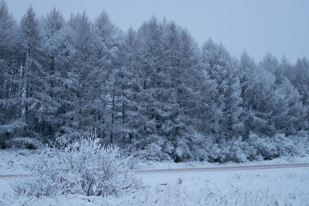 Photograph by Алексей Егоров
