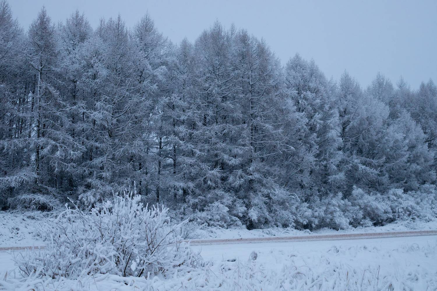 Photo #13117802
