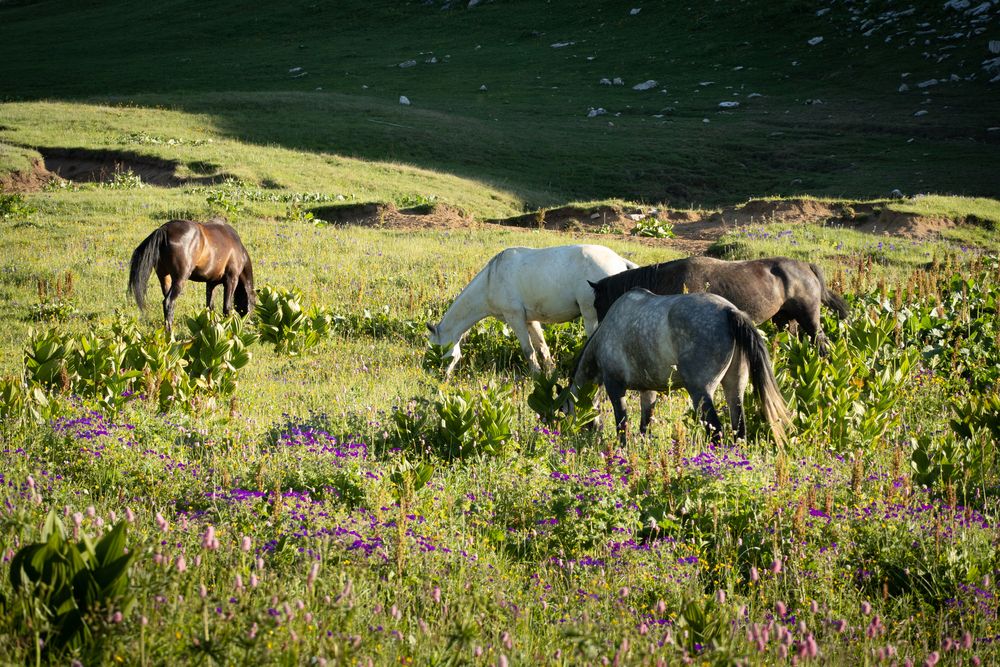 Фотография автора Вадим Коваленко