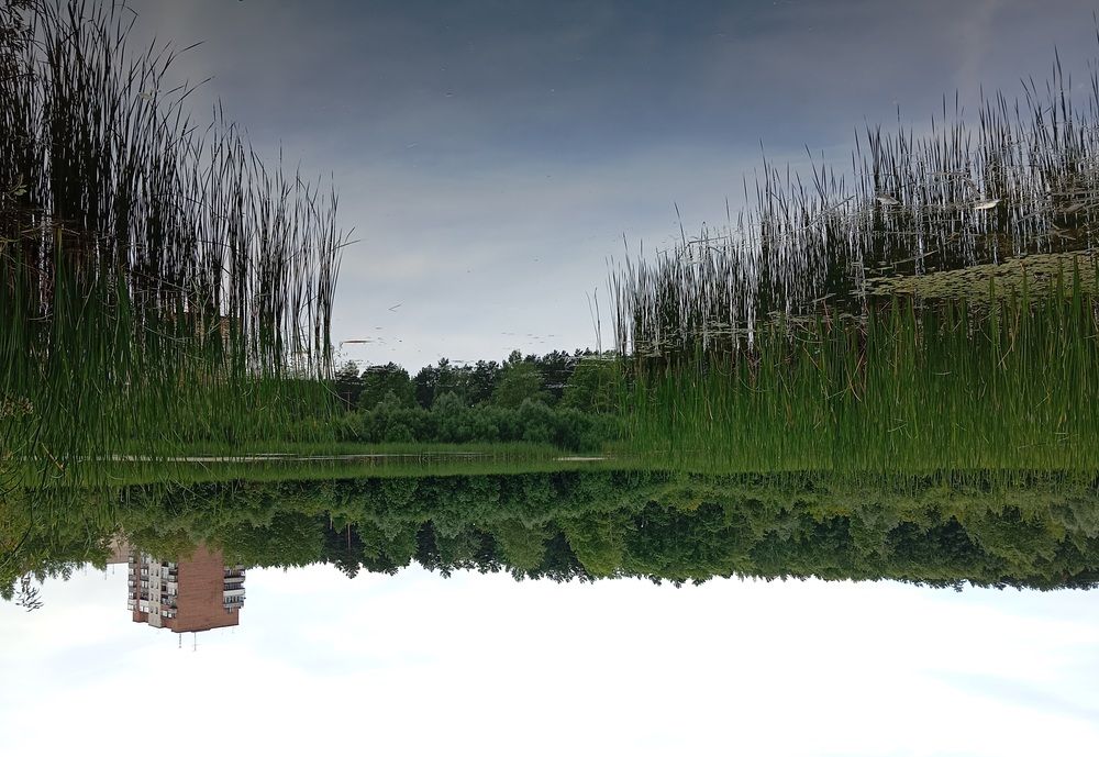 Photograph by МАрина Соловьева