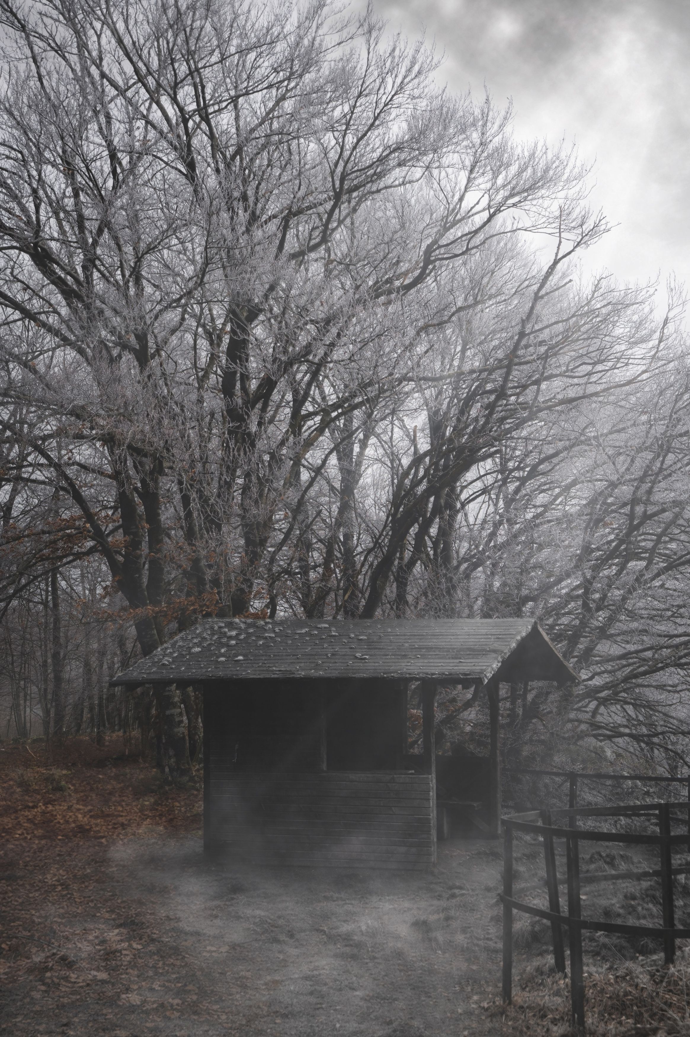 Фотография автора Olga Schmidt