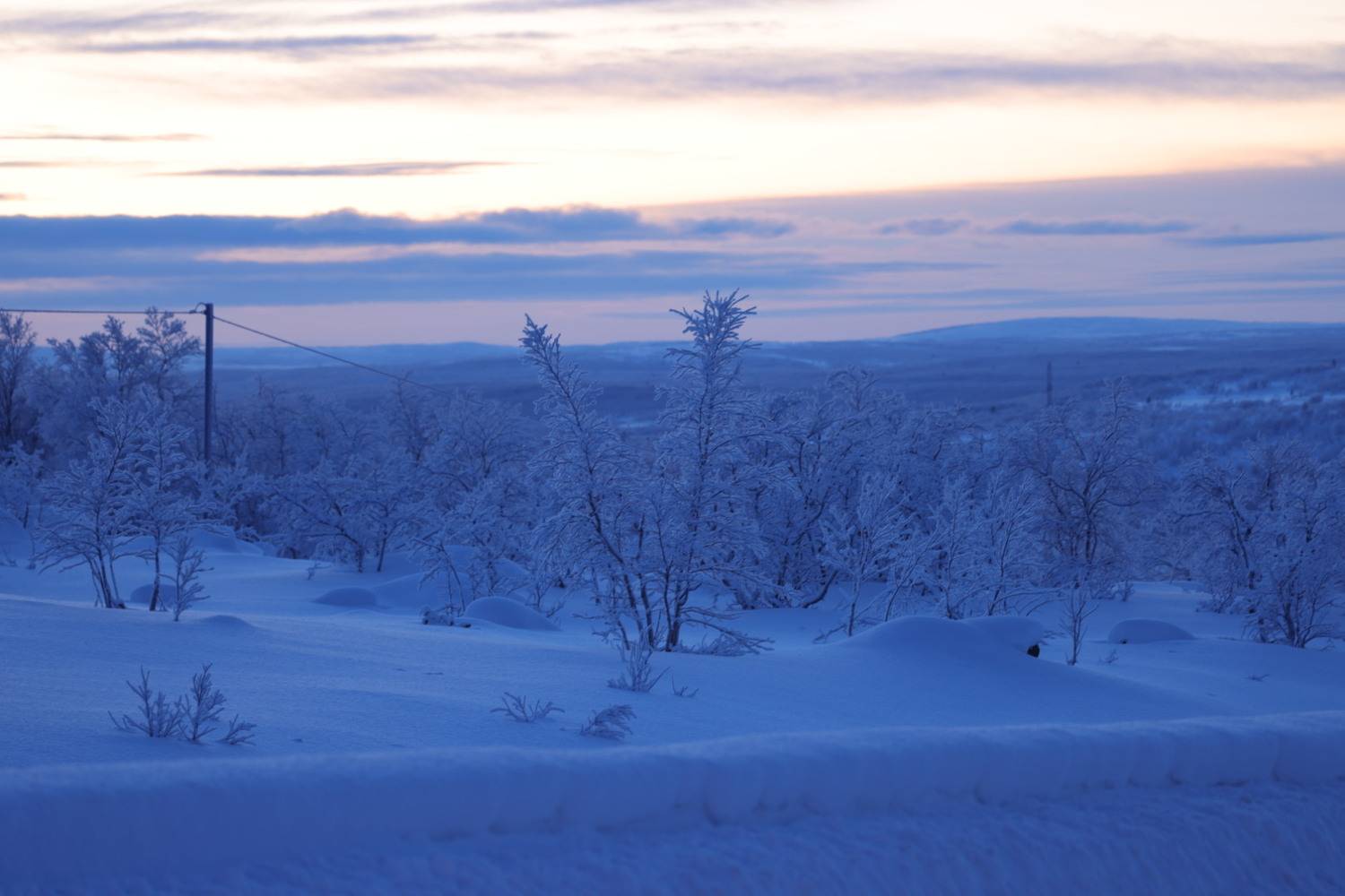 Photo #13117848