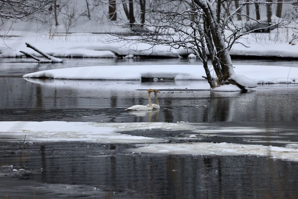 Photograph by Одаренко Ольга