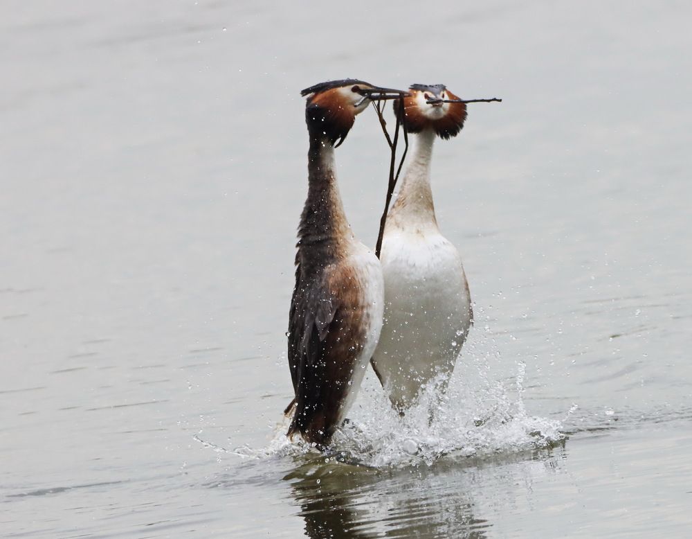 Photograph by Сергей Маслов
