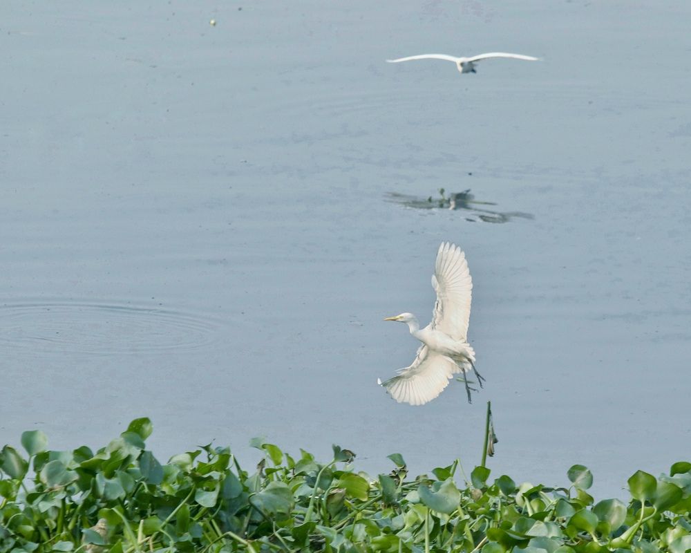 Photograph by Washiful Majid