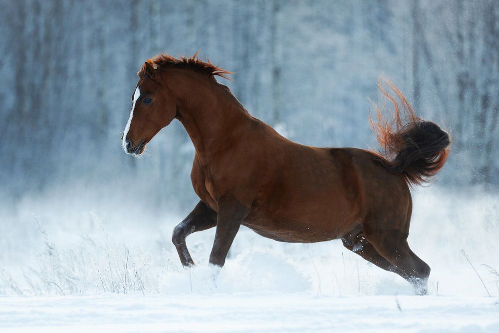 Photograph by Helena