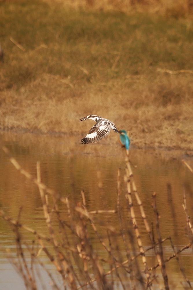 Photograph by Washiful Majid