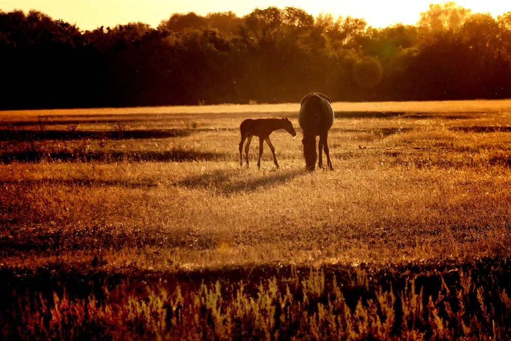 Photograph by Vitaliy Saposhnikov