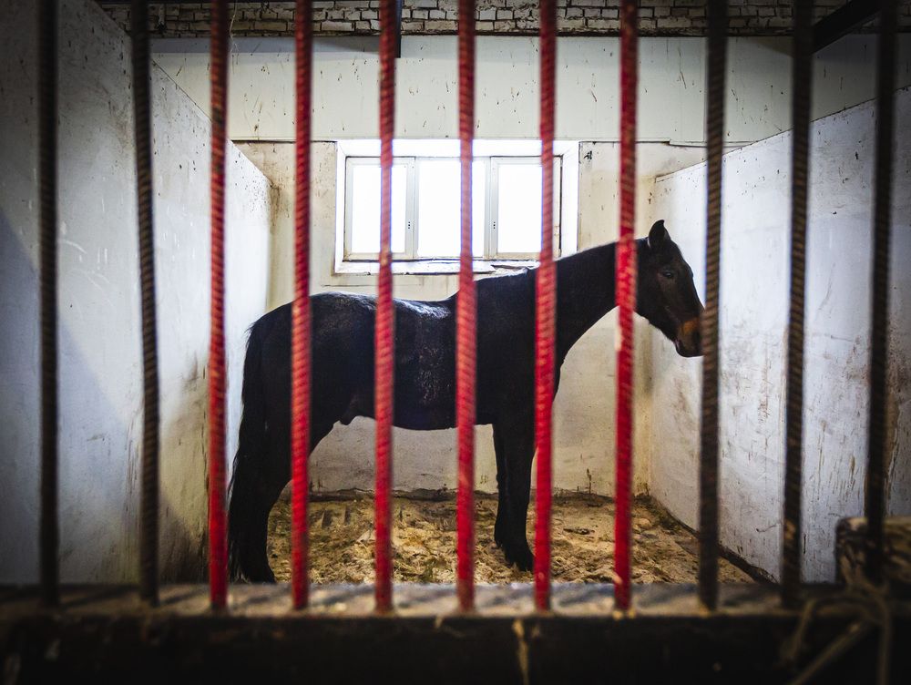 Photograph by Каргин Валерий