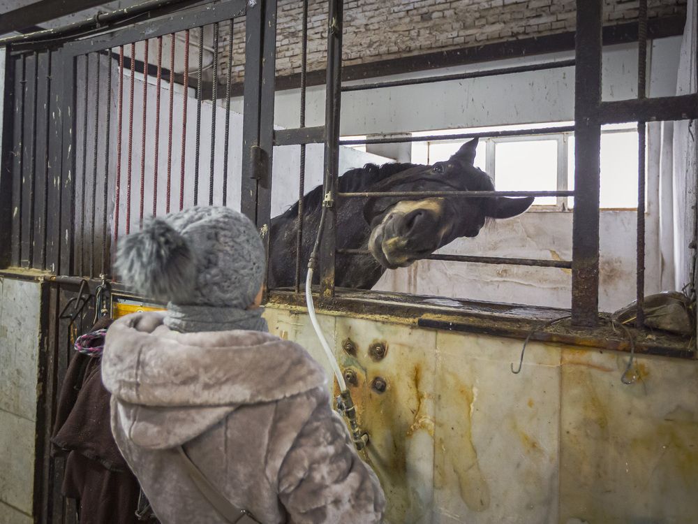 Photograph by Каргин Валерий