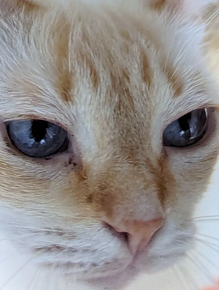 Baby\'s got blue eyes...