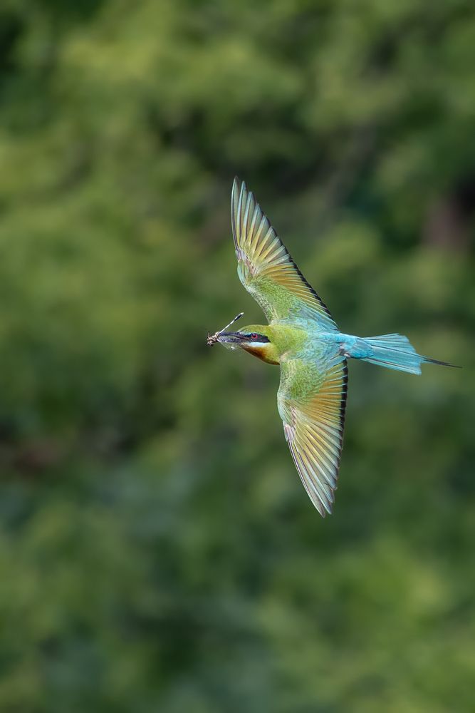 Photograph by Mukesh Tripathi