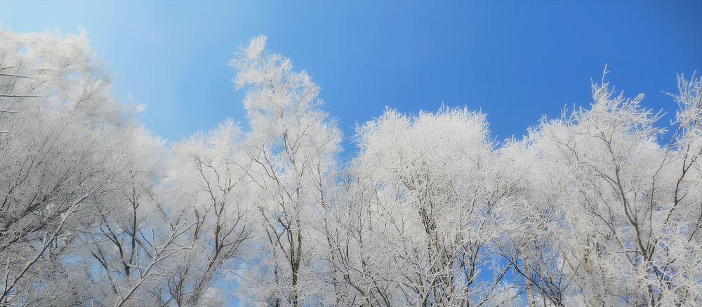 Фотография автора Александр Поздняков