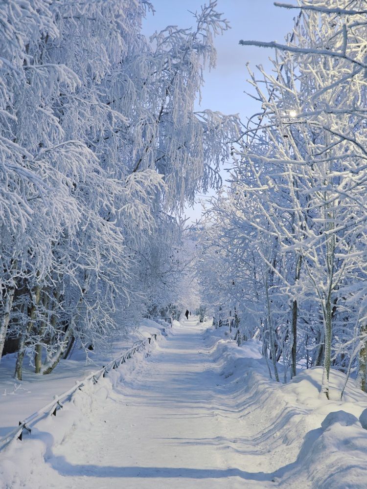 Photograph by Владислав Моисеев