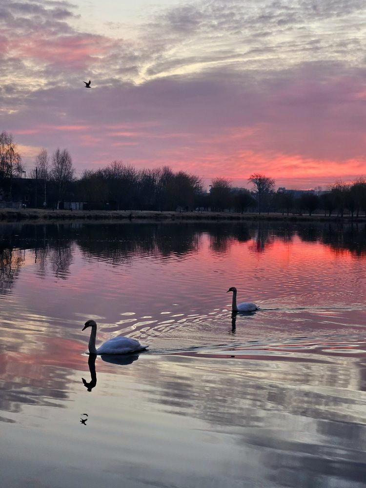 Фотография автора Elena Polonetskaya