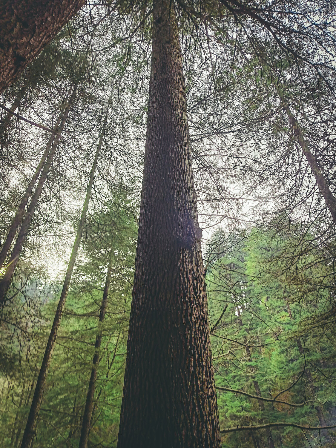 Photo #13118189