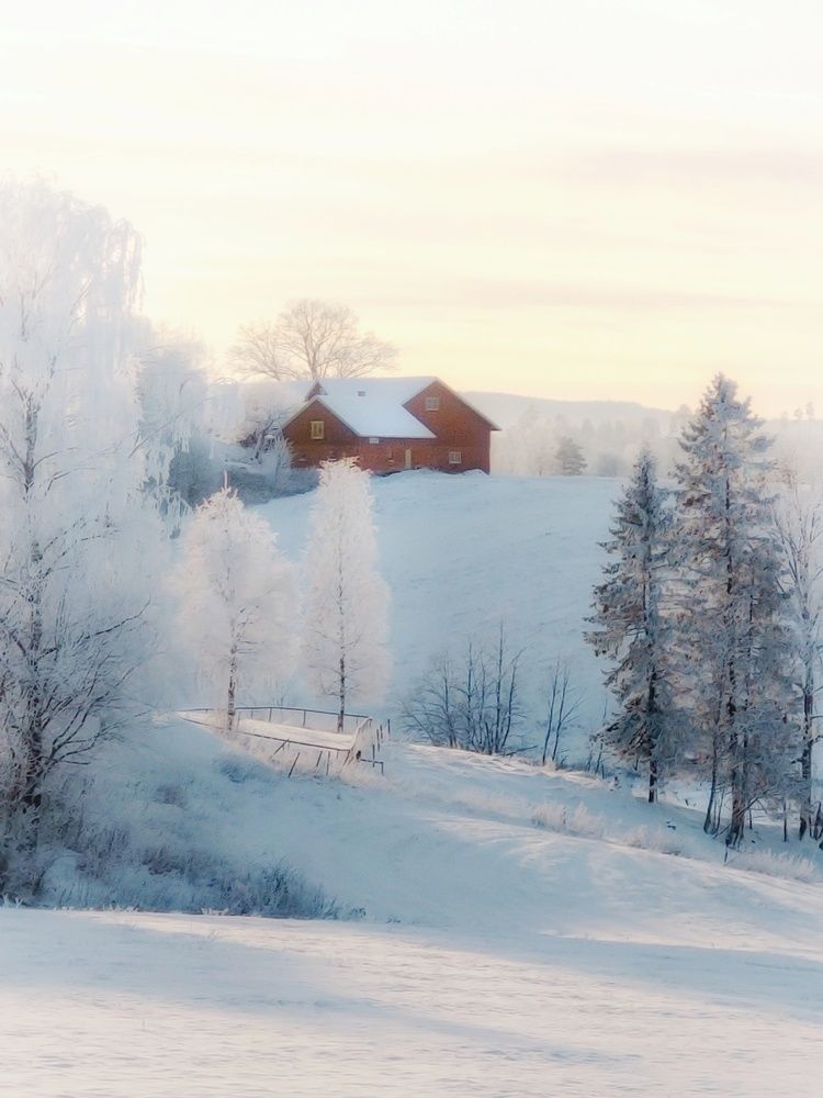 Фотография автора Alina Filimonova