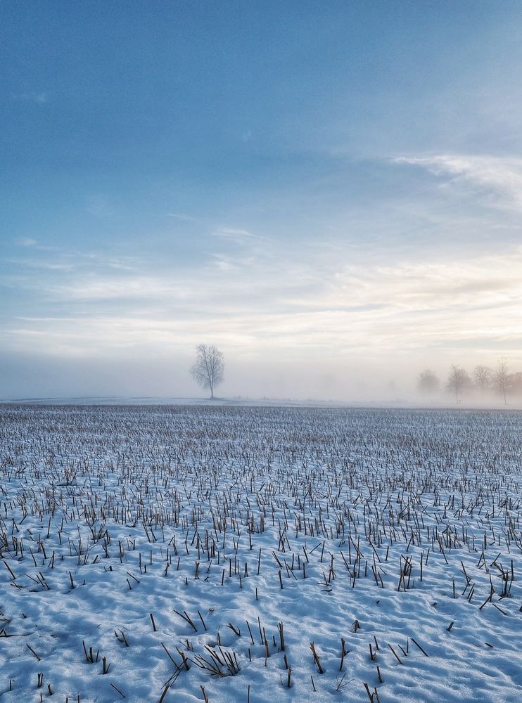 Фотография автора Alina Filimonova