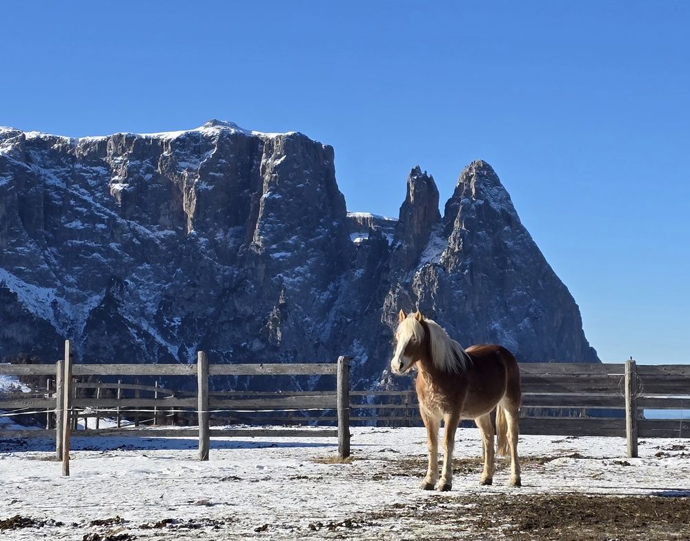 Photograph by Марина