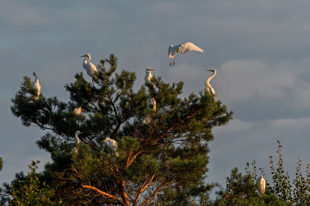 Вечернее собрание