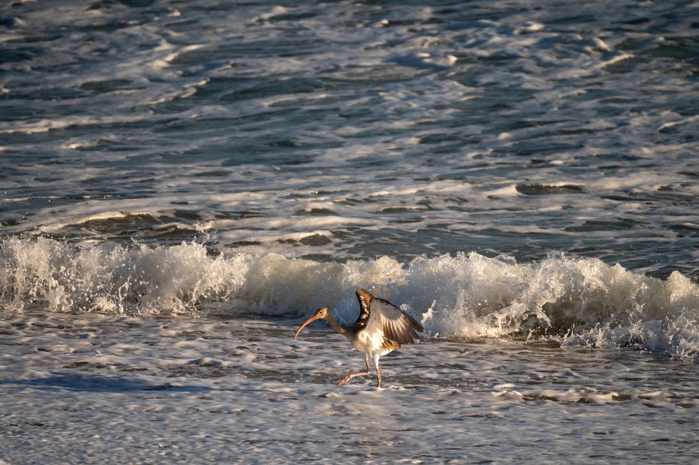 Photograph by esti lahat