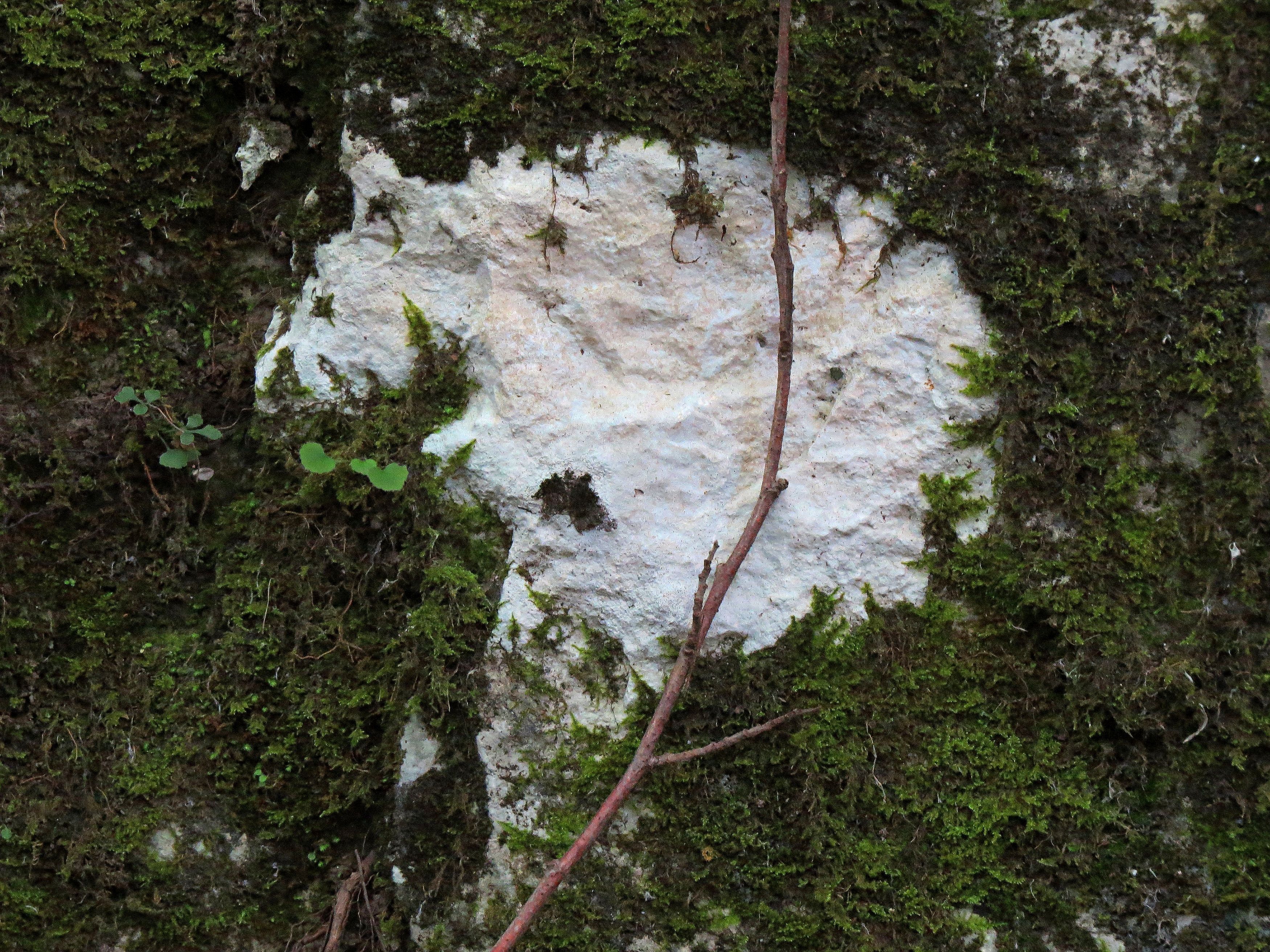 Photograph by Фартушняк Сергей