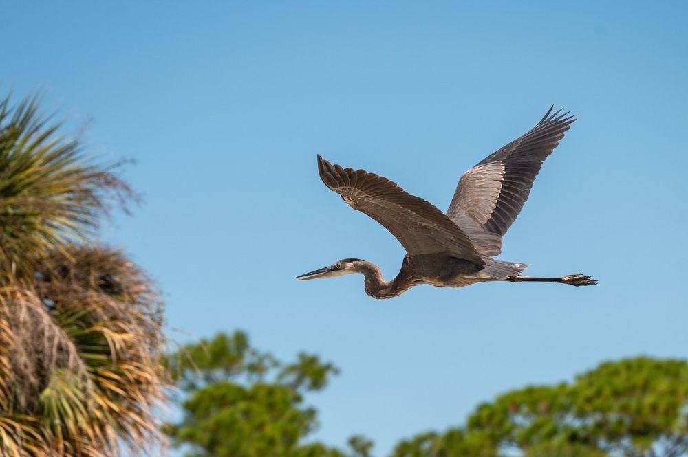 Photograph by esti lahat