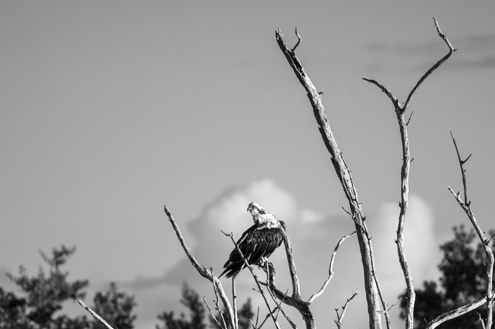 Photograph by esti lahat