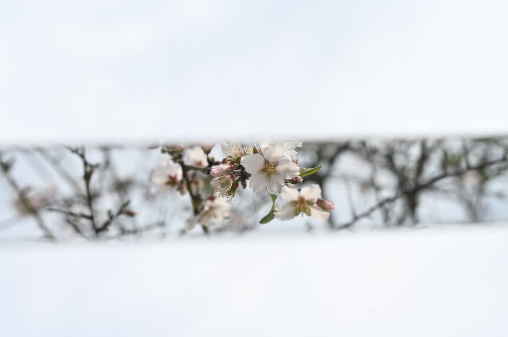 Фотография автора esti lahat