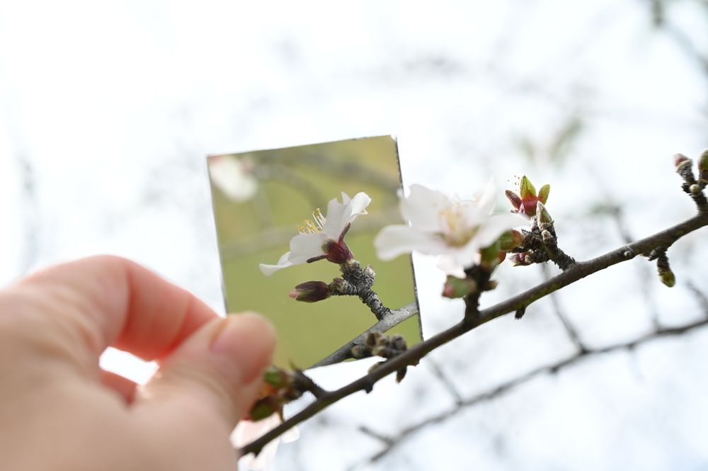 Фотография автора esti lahat
