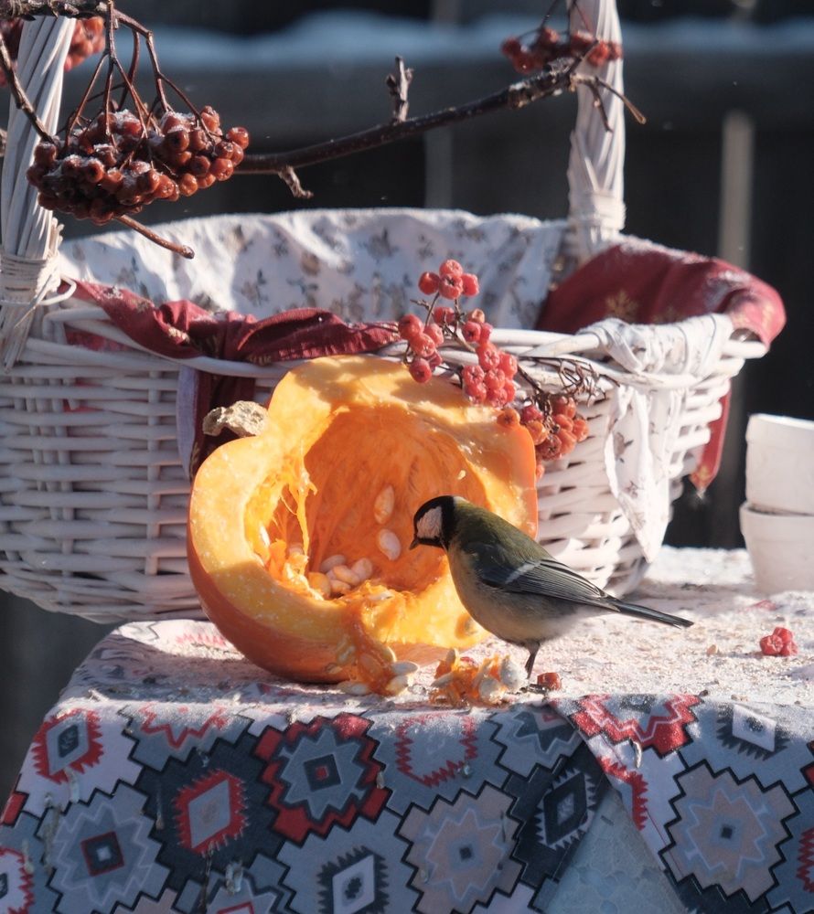 Photograph by Яна Истоцкая