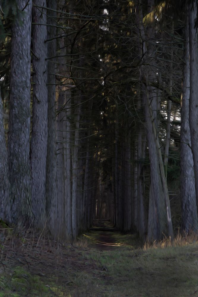 Photograph by Юрий Сёмченко