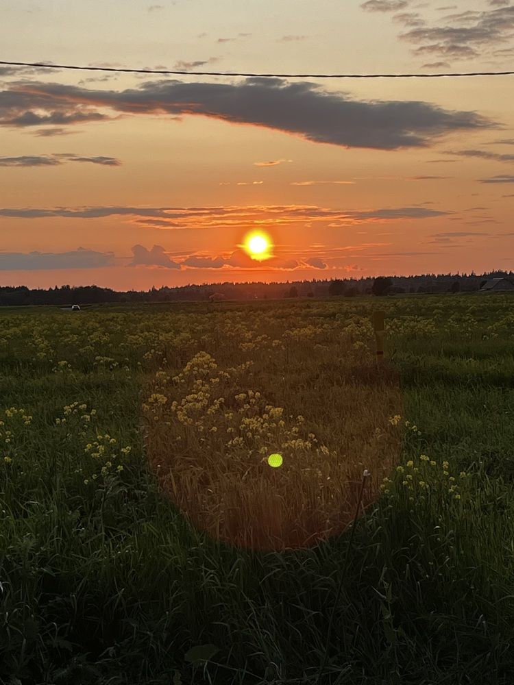 Photograph by Юрий Пономарев