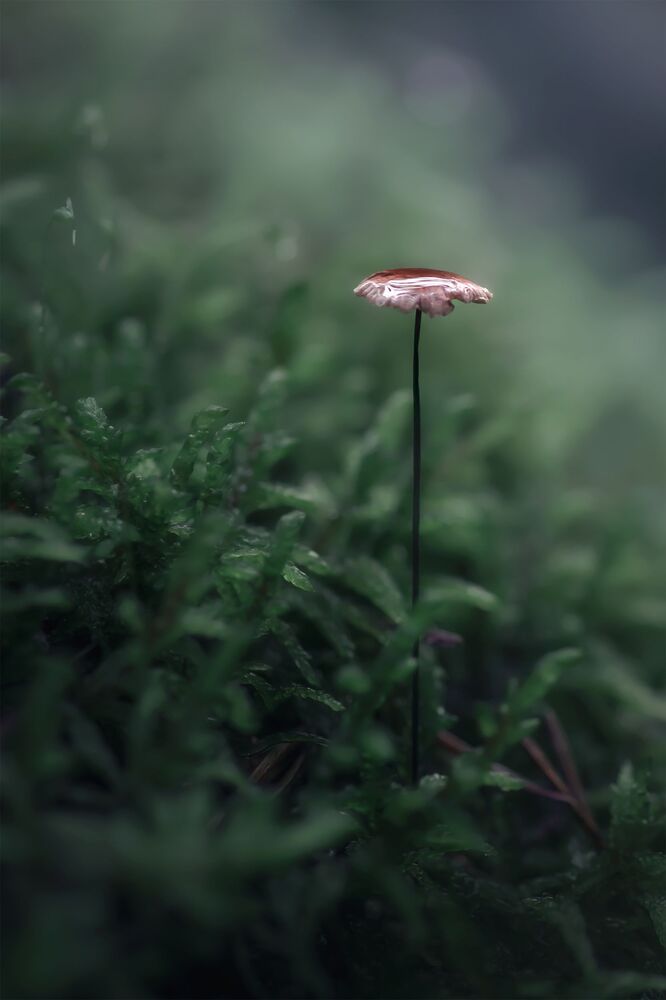 Фотография автора Nephotograph