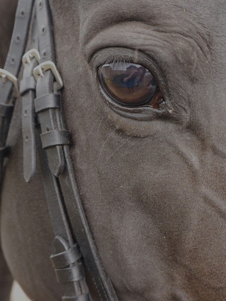 Photograph by Ольга Мольдон