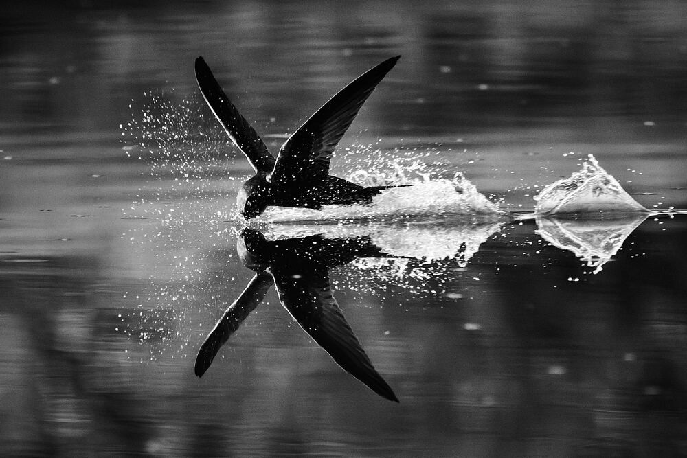 Photograph by Mikhail Khmelevskiy
